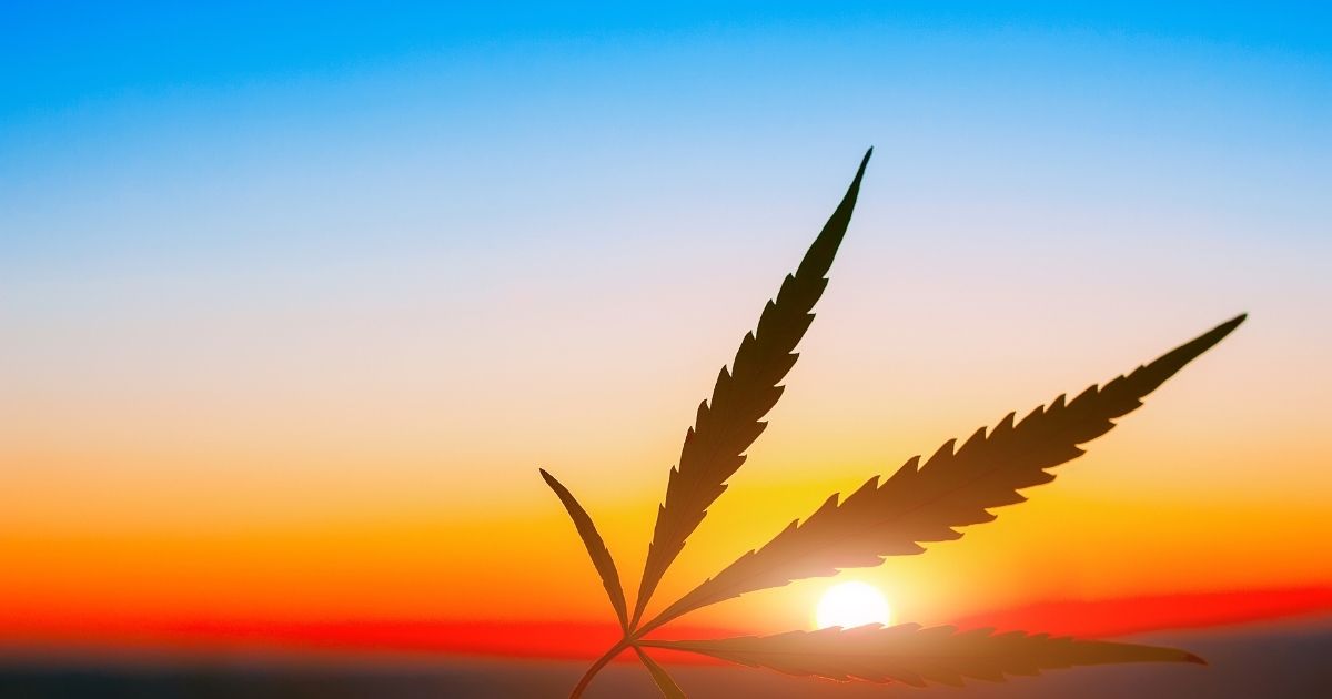 april-cannabis-duft-des-monats